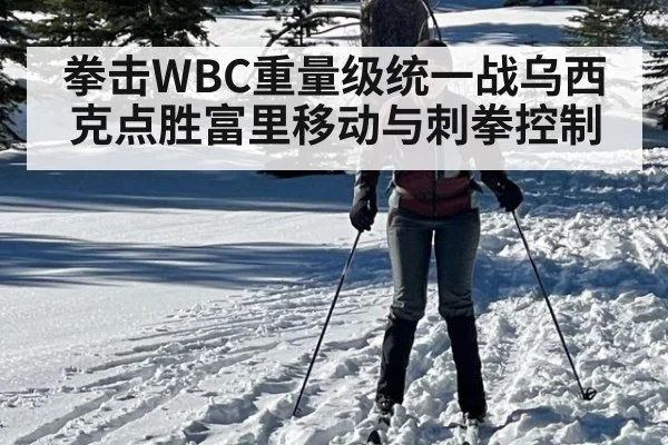拳击WBC重量级统一战乌西克点胜富里移动与刺拳控制