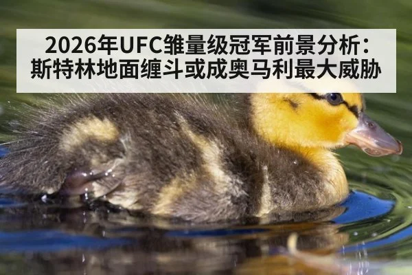 2026年UFC雏量级冠军前景分析：斯特林地面缠斗或成奥马利最大威胁