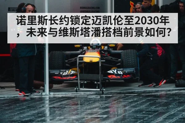 Max Verstappen Red Bull