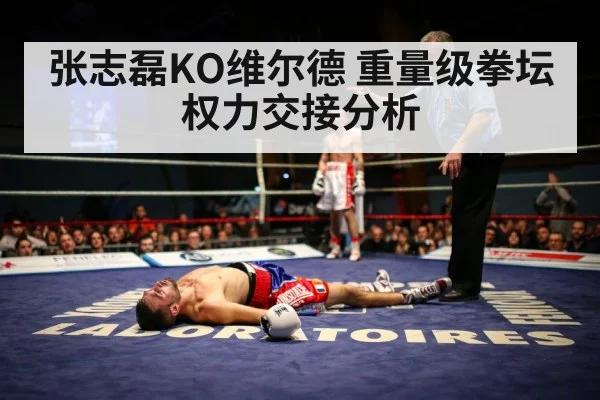 张志磊KO维尔德 重量级拳坛权力交接分析